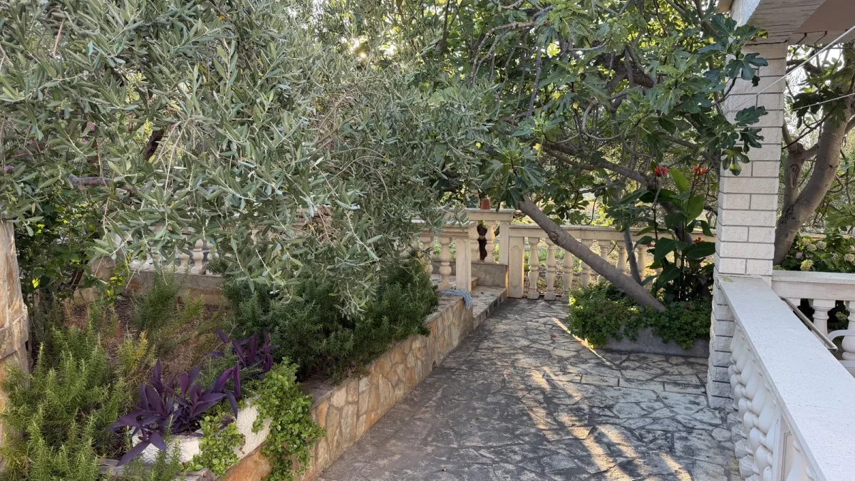 Schattiger Plattenweg zwischen Blumenbeeten, Olivenbaum und weisser Balustrade.