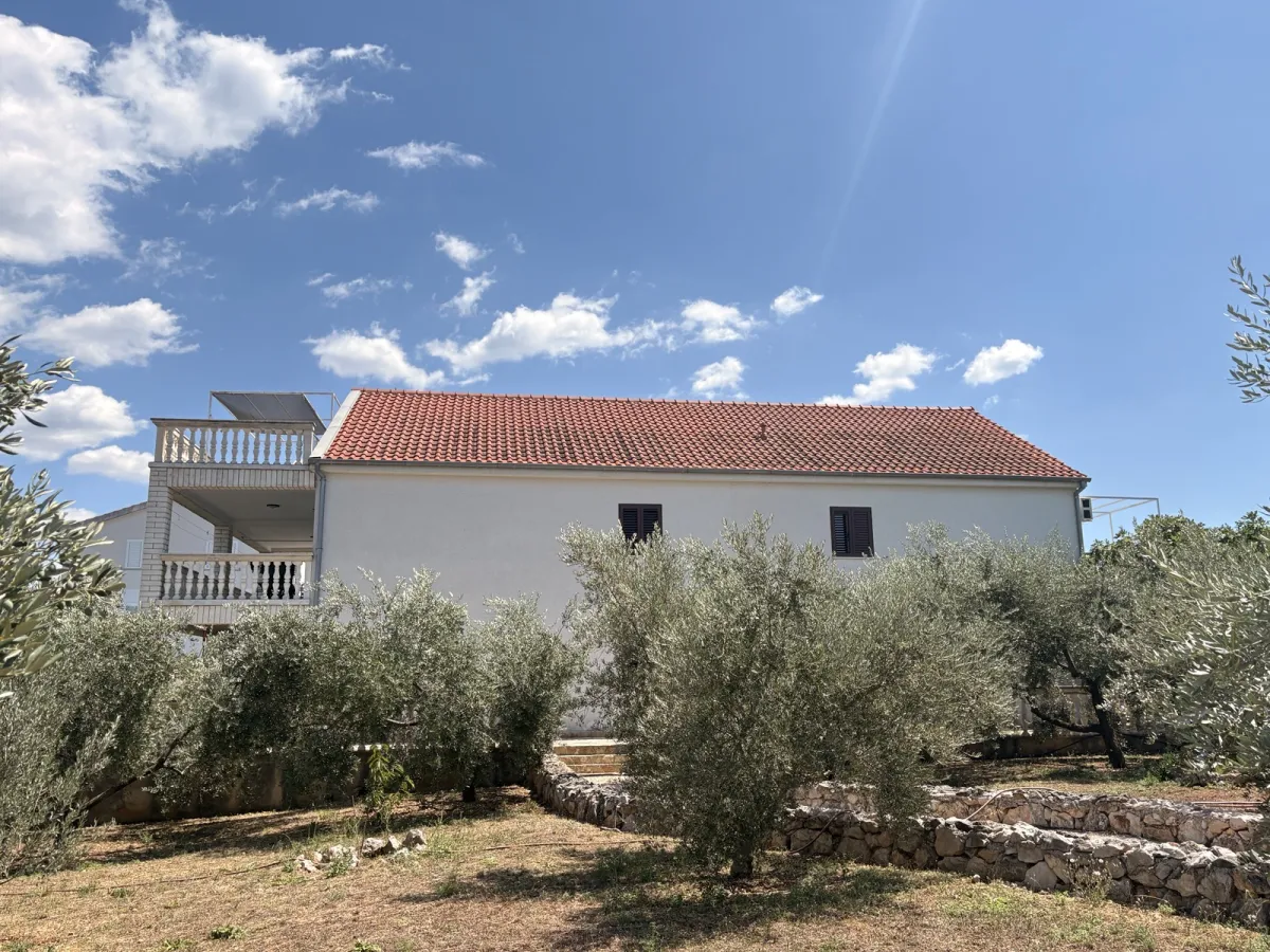 Olivenbäume und eine Trockenmauer vor dem Haus mit rotem Dach unter blauem Himmel.
